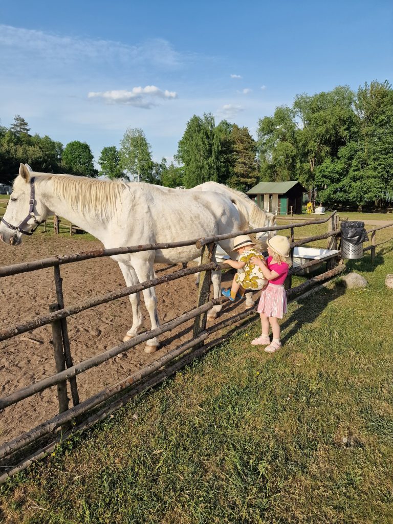 9d4a750f-5e4b-4f68-8a24-30bcee1ee0be