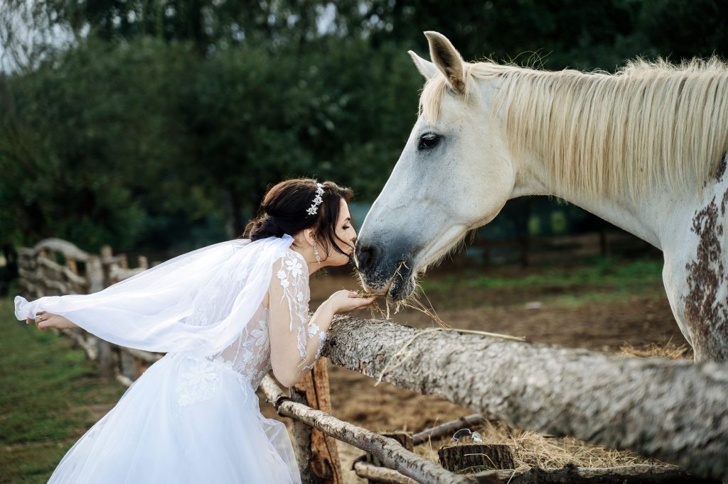 Wesele nad Jeziorem Siecino w Ranczo w Dolinie